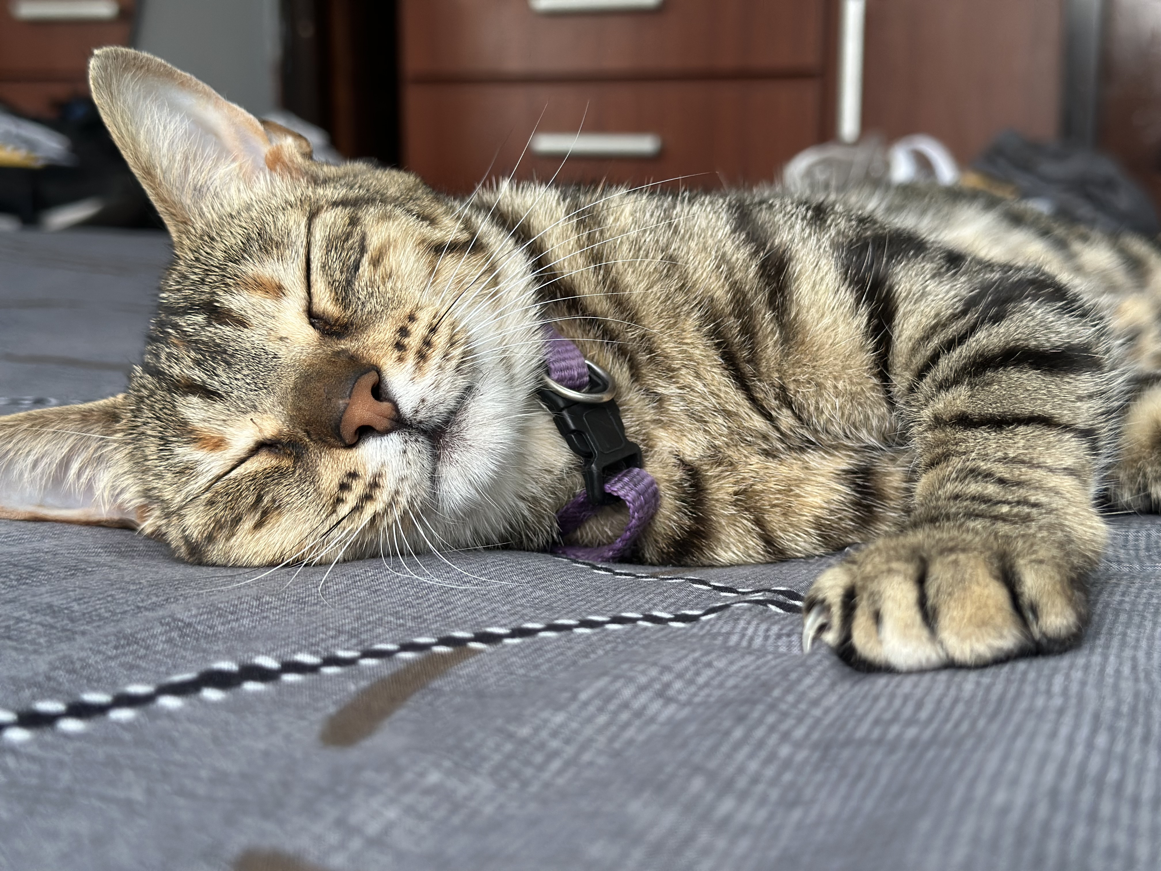 Foto de Samira